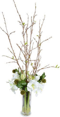 Amaryllis Arrangement