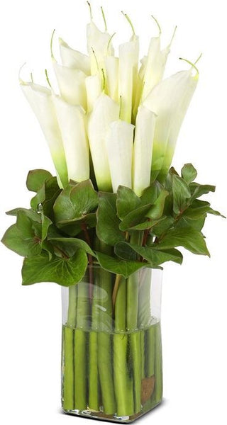 Calla Lily Arrangement