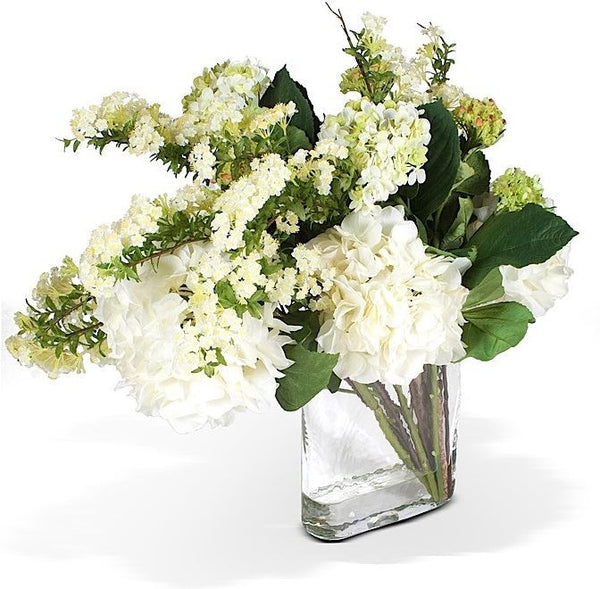 Hydrangea, Spirea