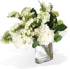 Hydrangea, Spirea