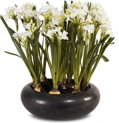 Paperwhite Narcissus Arrangement