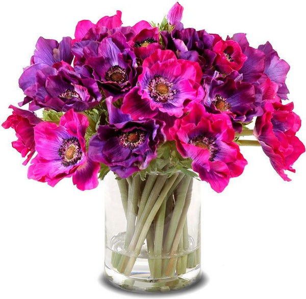 Anemone Arrangement