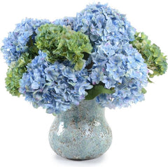 Hydrangea Arrangement