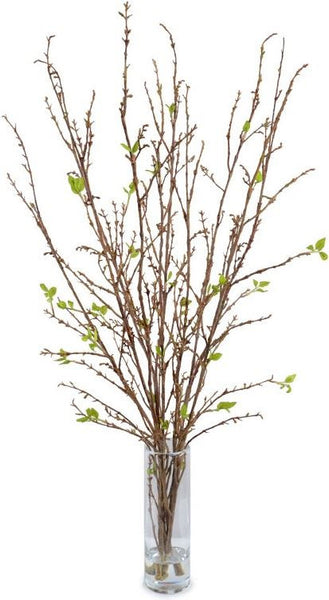 Branches in Vase