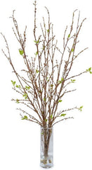 Branches in Vase