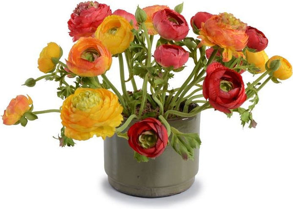 Ranunculus Arrangement