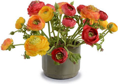 Ranunculus Arrangement