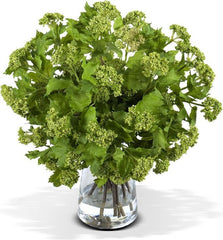 Viburnum Bouquet