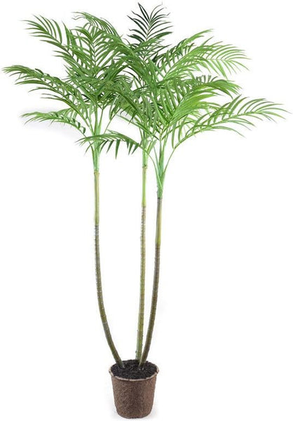 8' Trident Palm Tree