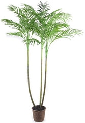 8' Trident Palm Tree
