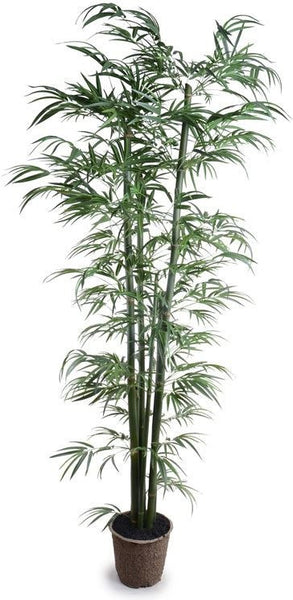 8.5' Green Bamboo Tree