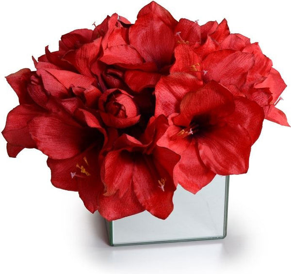 Amaryllis Arrangement