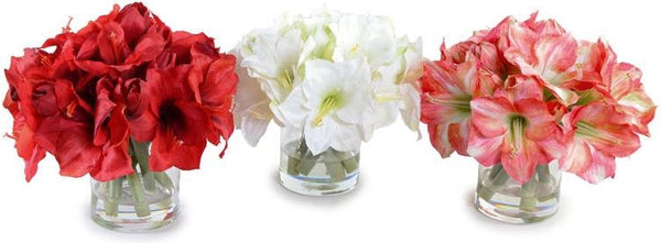 Amaryllis Bouquet