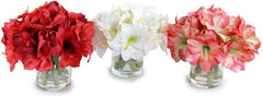 Amaryllis Bouquet
