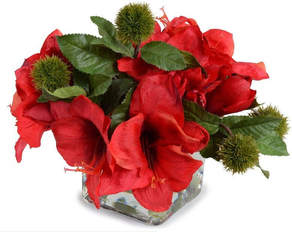 Amaryllis and Chestnut