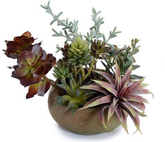Succulent Garden