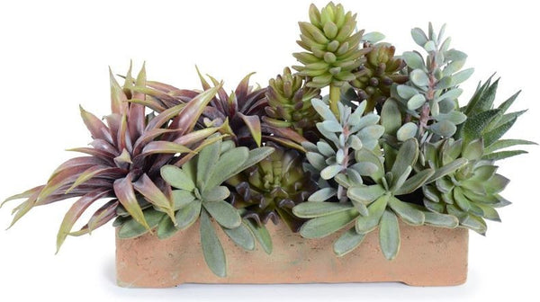 Large Succulents Long Planter