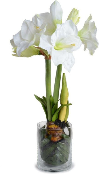 Amaryllis Leaf It