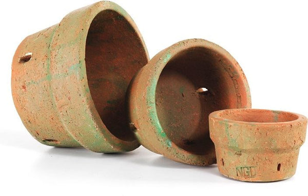 Terra Cotta - Orchid Pot