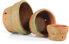 Terra Cotta - Orchid Pot