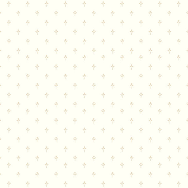 York AB2082 Black & White Ditsy Wallpaper
