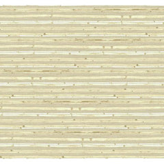York AC6099 By The Sea Woven Bamboo Wallpaper