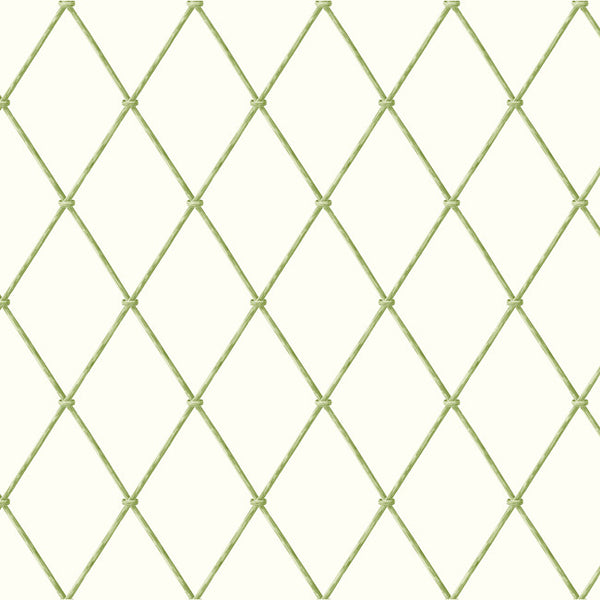 York AK7530 Ashford House Blooms Bamboo Harlequin Wallpaper