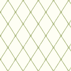 York AK7530 Ashford House Blooms Bamboo Harlequin Wallpaper