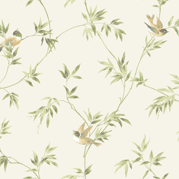 York AK7537 Ashford House Blooms  Songbirds Wallpaper