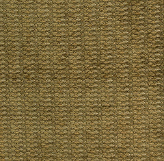 Pindler Fabric ALB024-BG06 Albani Wheat