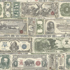 York AM8740 American Classics Money Wallpaper