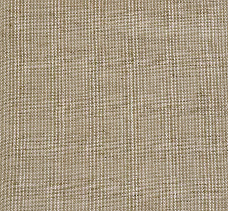 Pindler Fabric ANA530-BG01 ANTWERP-A530 A530