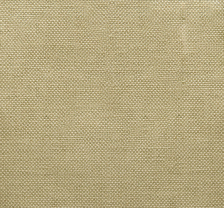 Pindler Fabric ANA663-BG01 ANTWERP-A663 A663