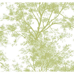 York AP7504 Green Book Tree Silhouette Wallpaper
