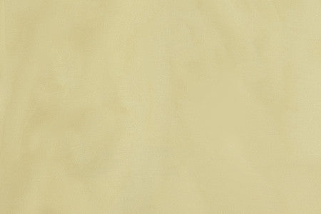 Pindler Fabric APR005-BG11 April Mink