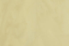 Pindler Fabric APR005-BG11 April Mink