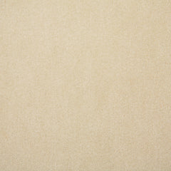 Pindler Fabric ATL003-BG41 Atlas Tusk