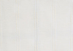 Pindler Fabric AYA004-WH06 Ayana Ecru
