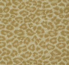 Pindler Fabric BAL048-BG01 Baltic Beach