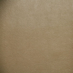 Pindler Fabric BAR076-BG06 Barstow Stone