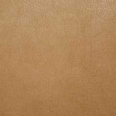 Pindler Fabric BAR076-BG11 Barstow Suede