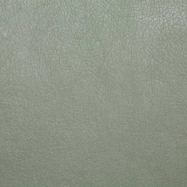 Pindler Fabric BAR076-BL01 Barstow Eucalyptus