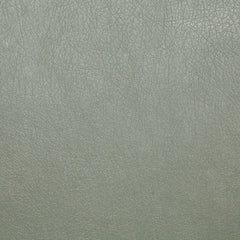 Pindler Fabric BAR076-BL01 Barstow Eucalyptus