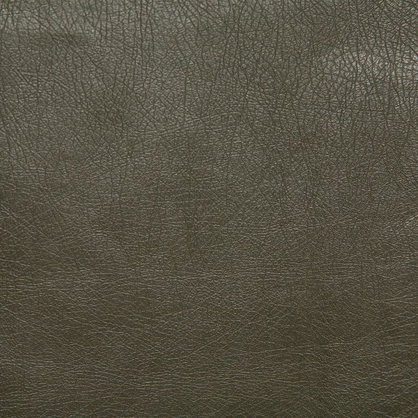 Pindler Fabric BAR076-GY01 Barstow Greentea