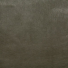 Pindler Fabric BAR076-GY01 Barstow Greentea