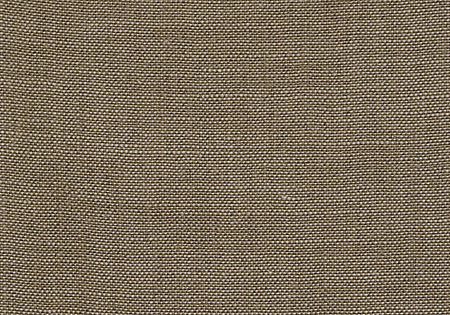 Pindler Fabric BAS017-BG06 Bastogne Oatmeal