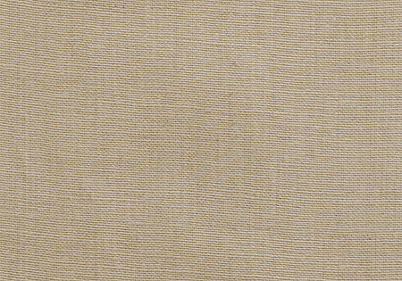Pindler Fabric BAS017-BG11 Bastogne Natural
