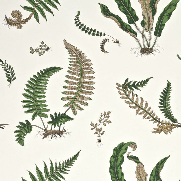 G P & J Baker Wallpaper BW45044.1 Ferns Original Green