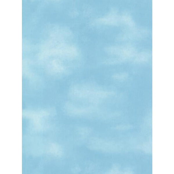 York BZ9486 Brothers & Sisters 4 Summer Blue Sky With Wispy Clouds Wallpaper