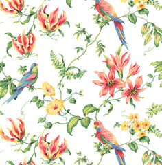 York CJ2801 By The Sea Tropical Bird Wallpaper